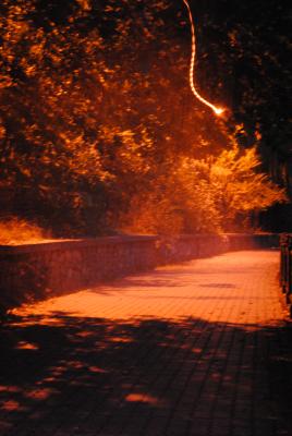 Прикрепленное изображение: DSC_0154.JPG